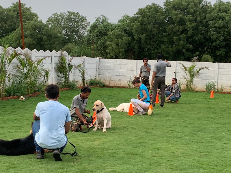 Doggy Hotel — Photo 3