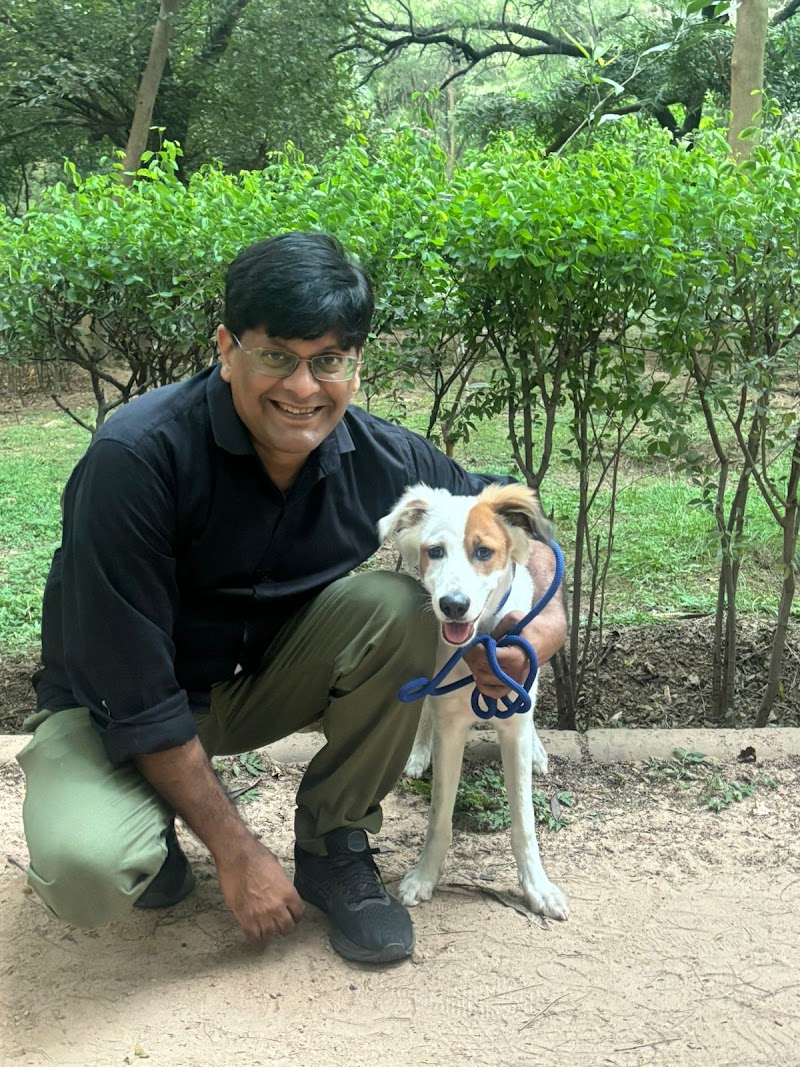 Dogobey, Dog Behaviourist/Dog Trainer