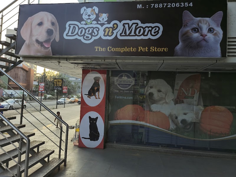 Dog's N More Gotri — Photo 1