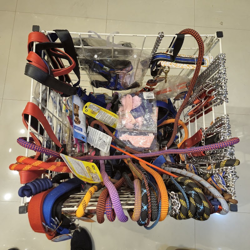 Dog's N More Gotri — Photo 3