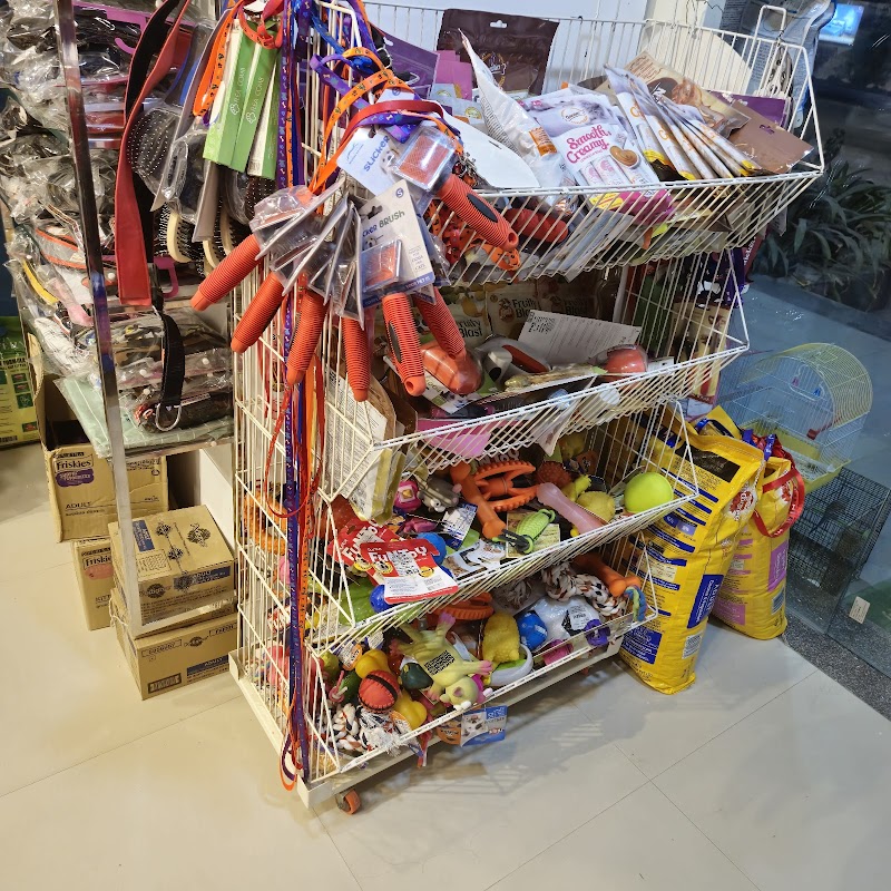 Dog's N More Gotri — Photo 4