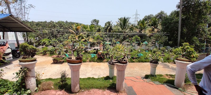 DOGS PAKKUS PAVITHRA KENNELLS Trivandrum — Photo 4