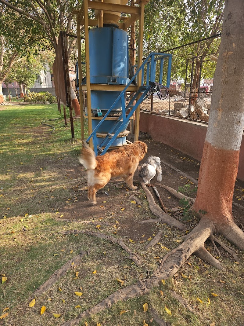 Dogs Park, Rajkot — Photo 3