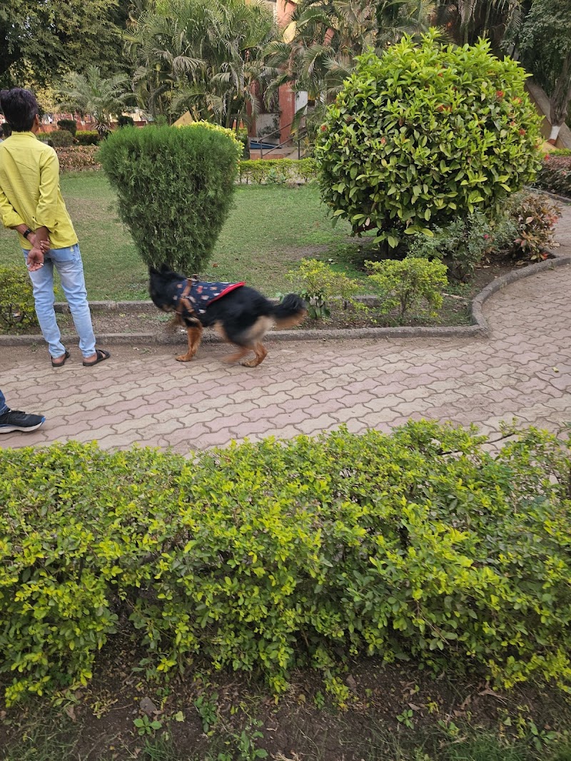 Dogs Park, Rajkot — Photo 4