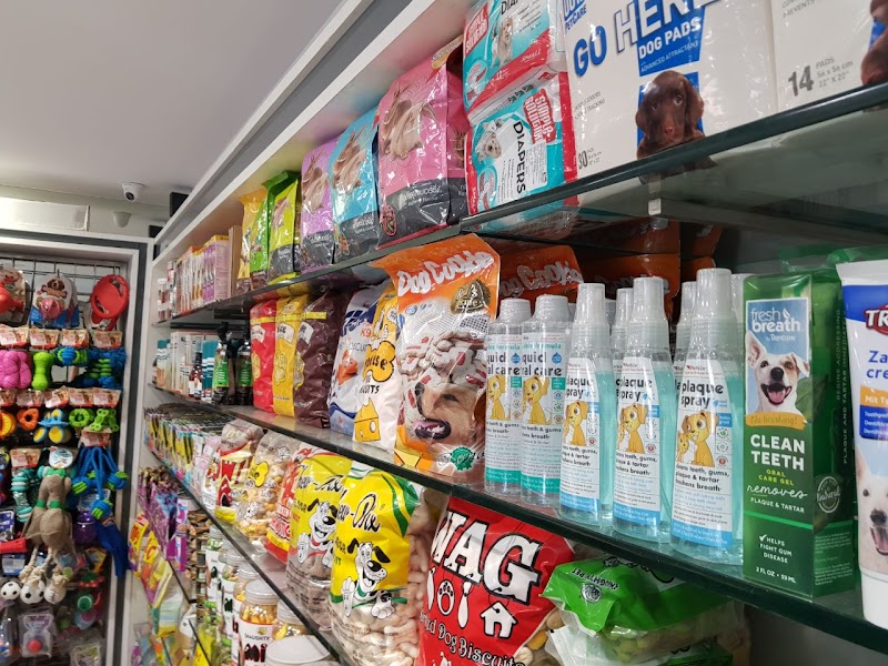 Dogs World India Ram Maruti Road — Photo 2