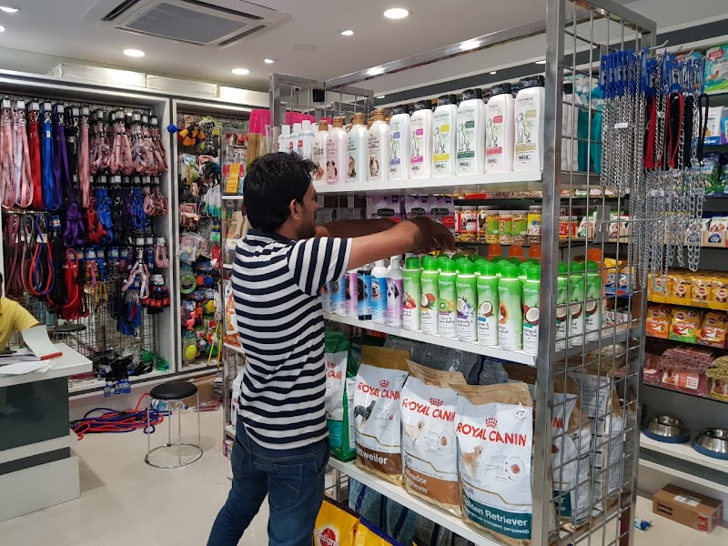 Dogs World India Ram Maruti Road — Photo 4