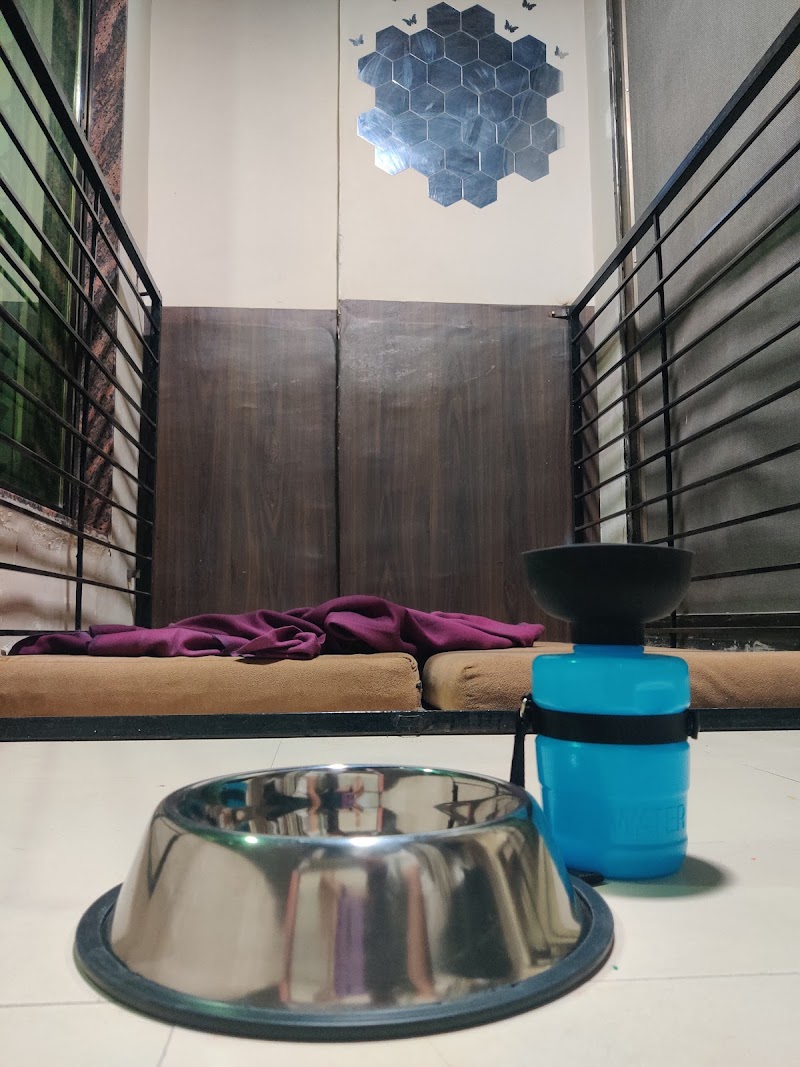 DogZilla Kharghar – Dog Boarding & Daycare — Photo 2