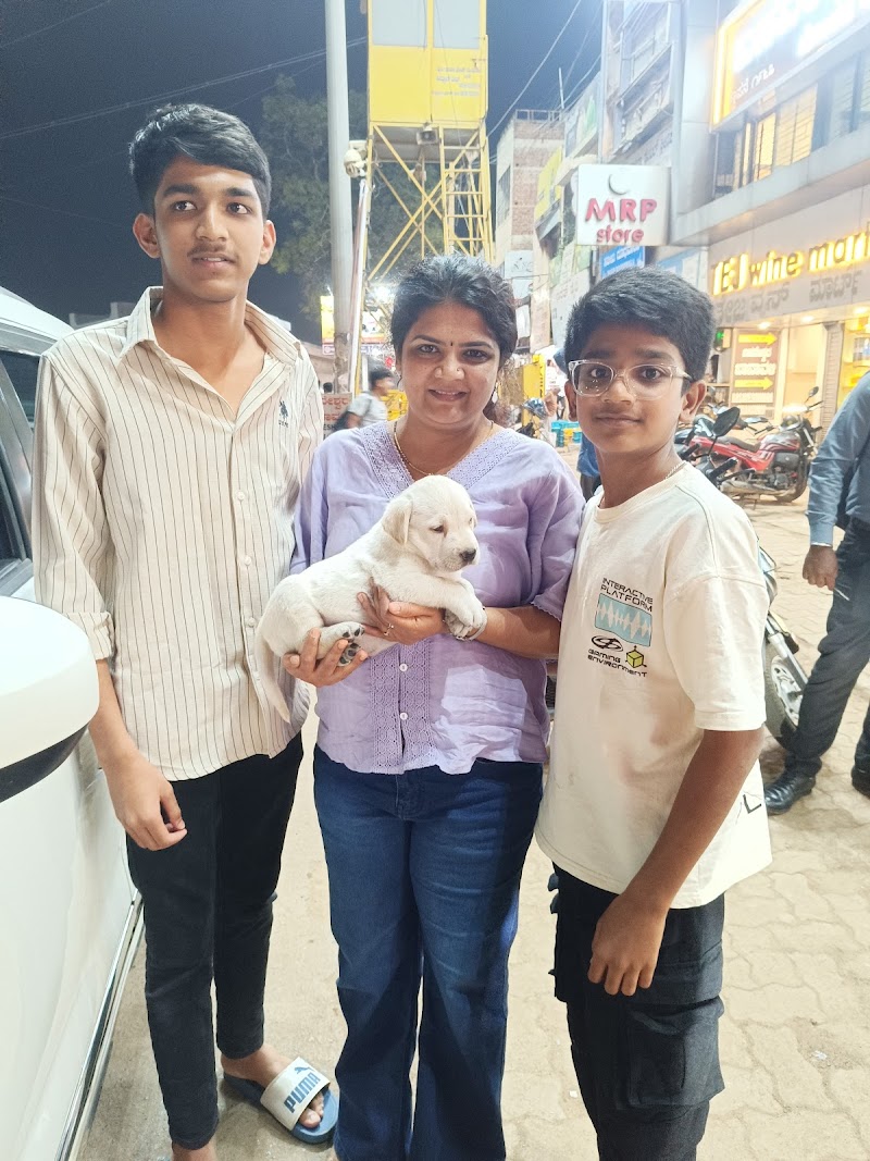 Dolly Pets Shop | Hubballi (Praveen)