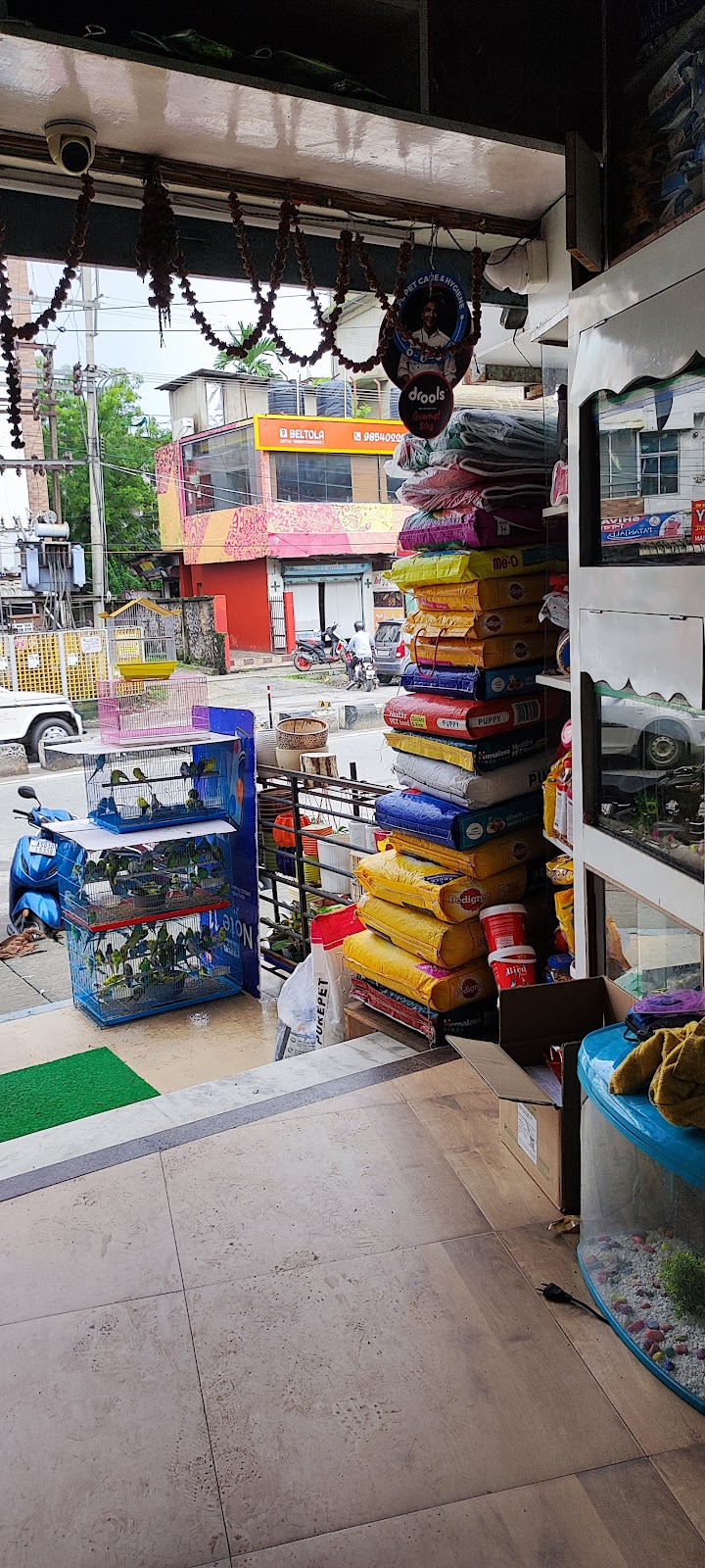 Dolphin Aquarium — Photo 2