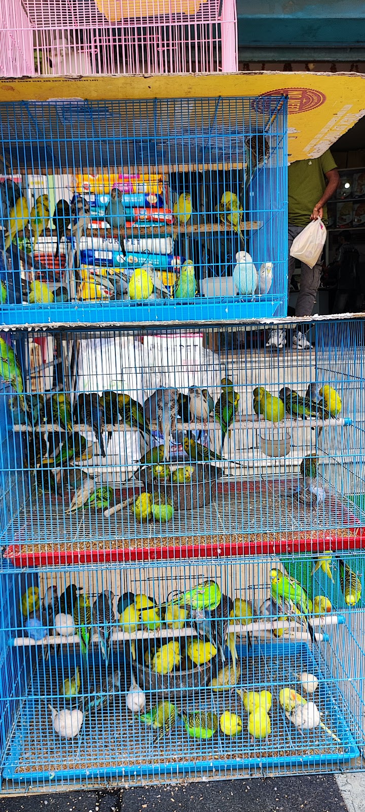 Dolphin Aquarium — Photo 3