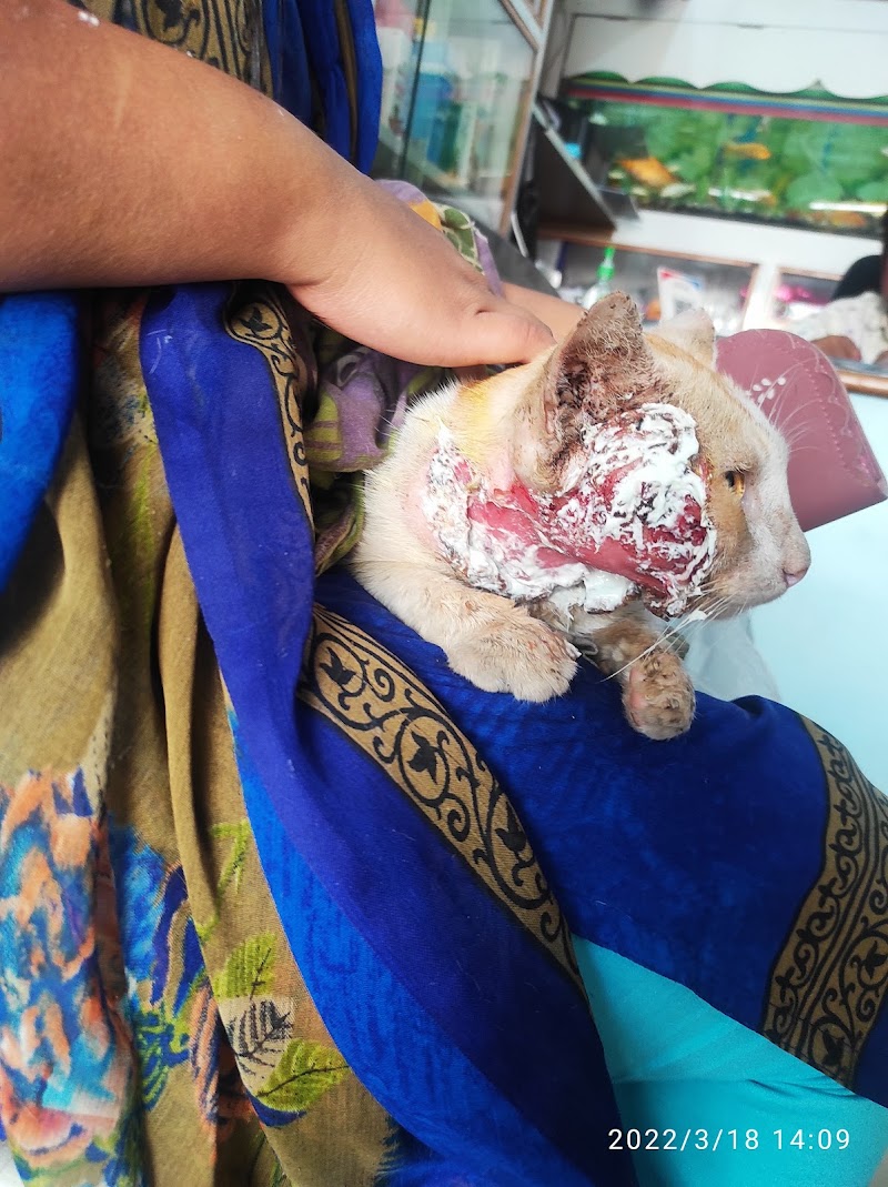 Dolphin Aquarium — Photo 4