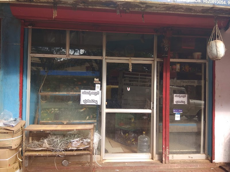 Dolphin aquarium — Photo 1