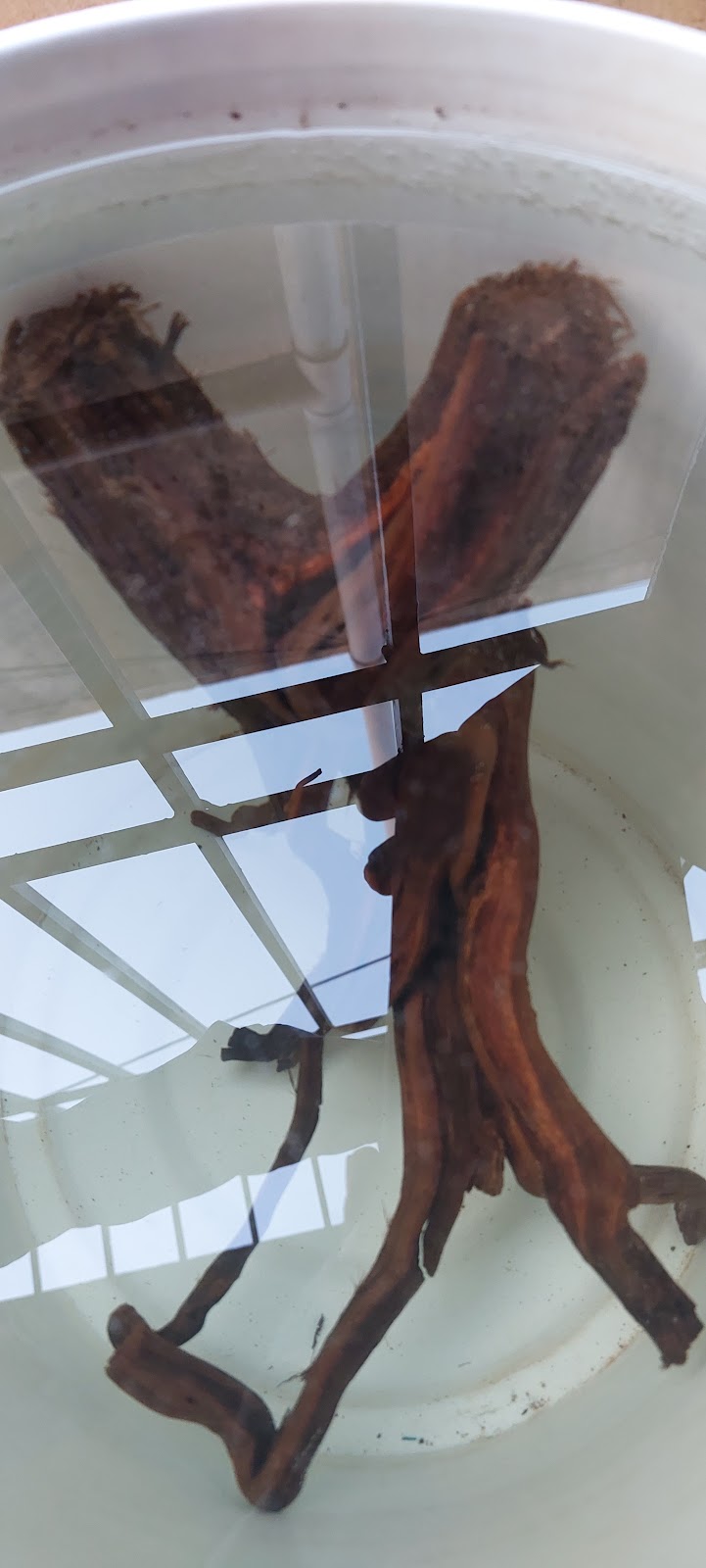 Dolphin aquarium — Photo 2