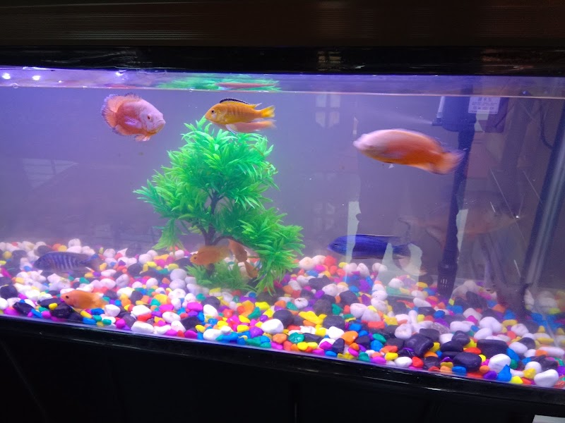 Dolphin aquarium — Photo 3