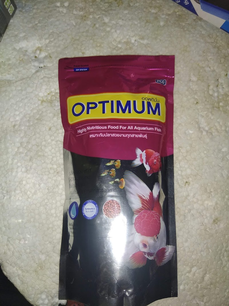 Dolphin aquarium — Photo 4