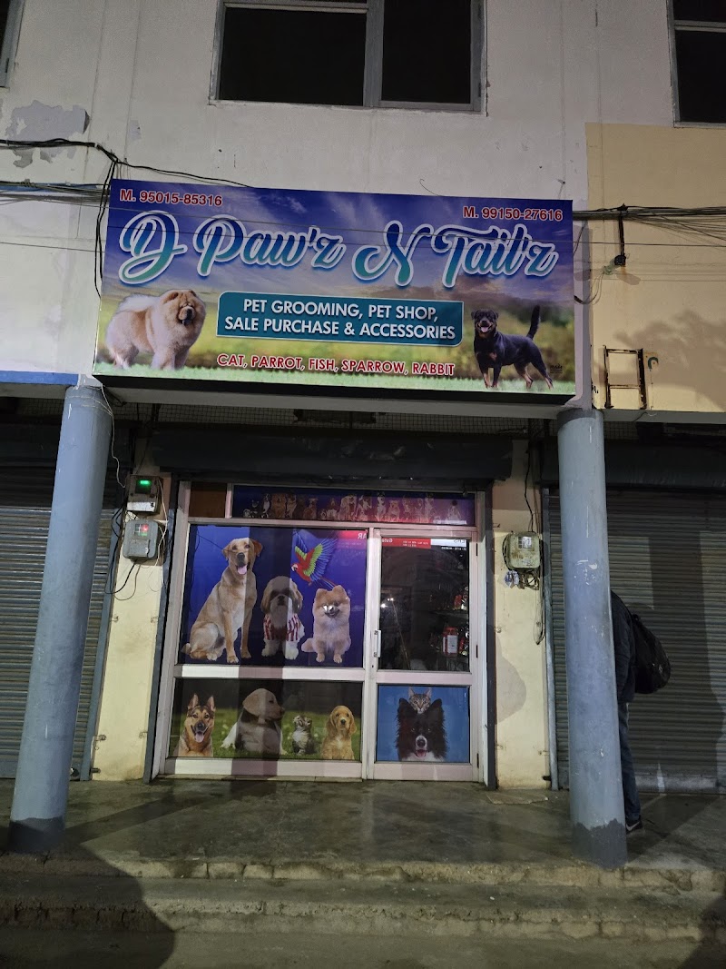Dpawz n tailz grooming pet shop