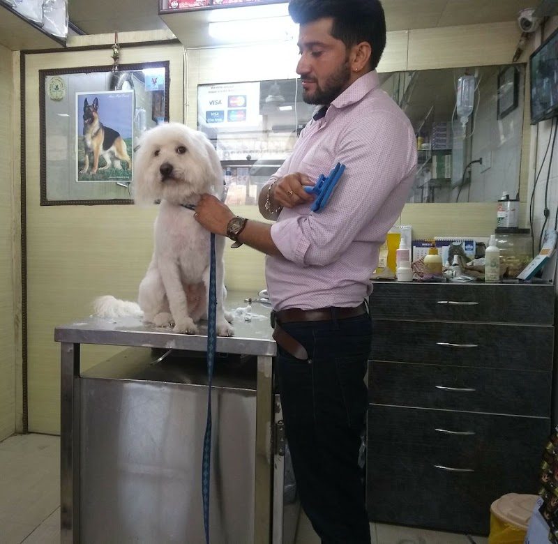 Dr Ankush Maini's Pet Clinic