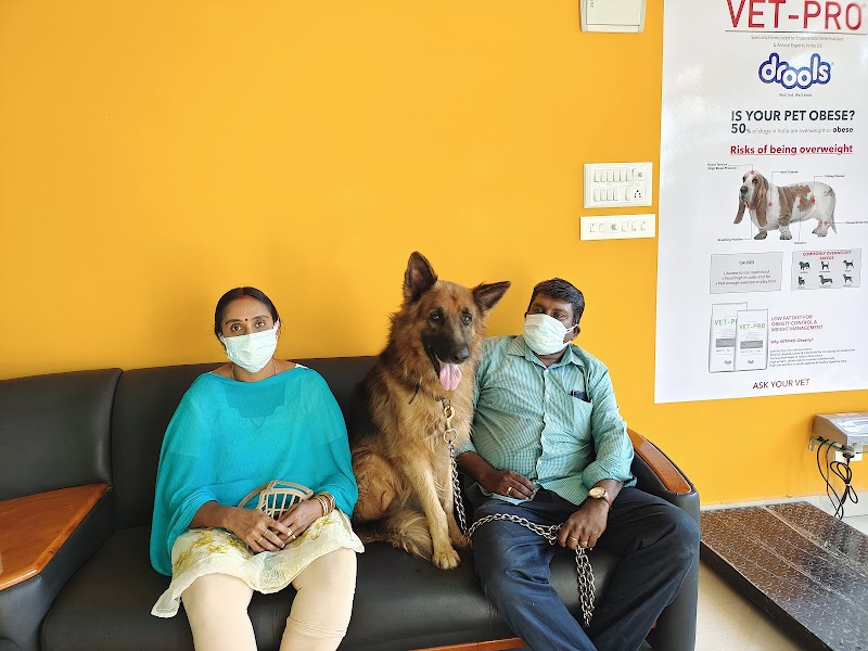 Dr Arun's Vet Care Centre — Photo 3