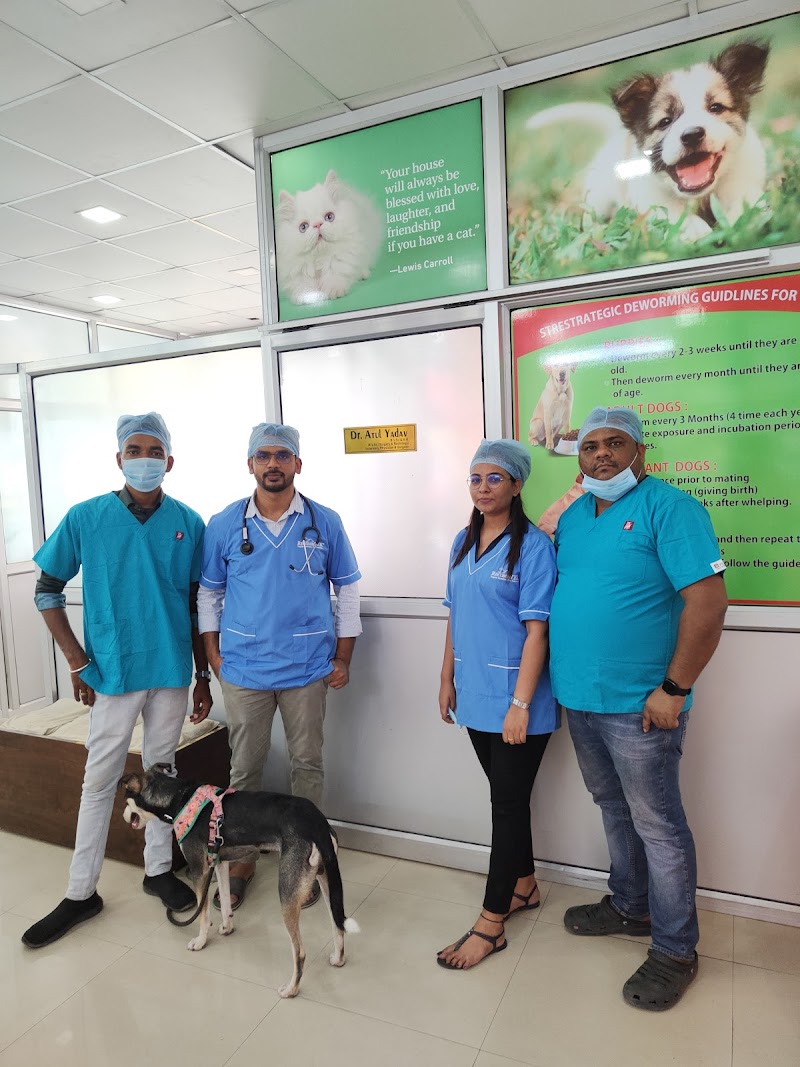 Dr. Atul's City Pet Clinic & Surgical Centre — Photo 4