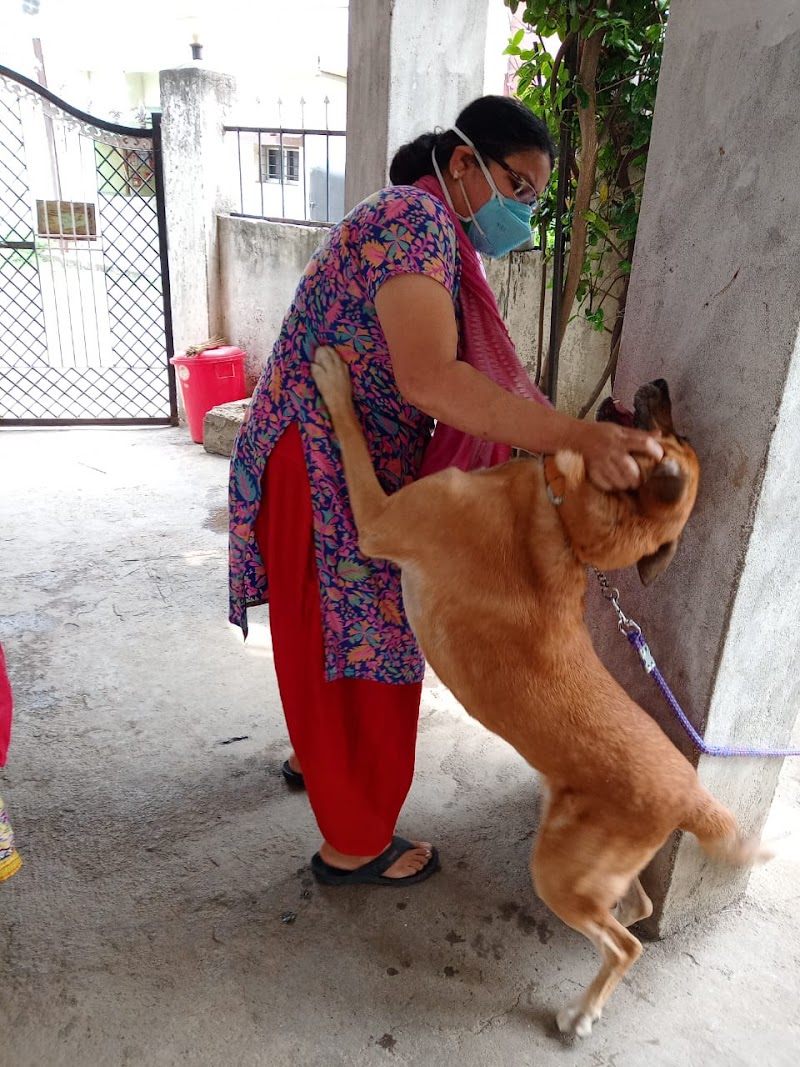 Dr Bharti raut — Photo 2