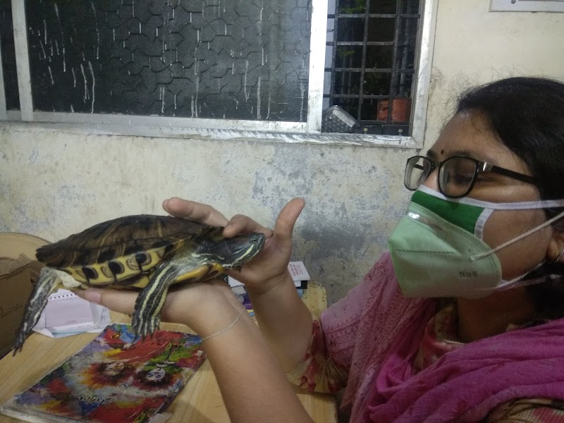 Dr Bharti raut — Photo 4