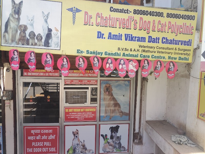 Dr Chaturvedi Dog and Cat Polyclinic-Best Veterinary Doctor in Agra|Best Dog/Cat Clinic in Agra|Best Dog/Cat Surgeon in Agra
