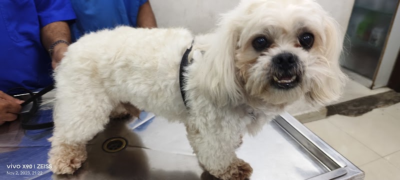 Dr. Dagli Pet Animal Clinic — Photo 2