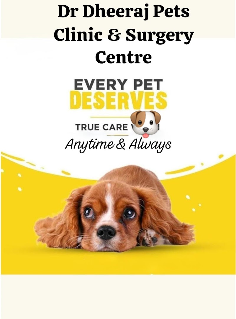 Dr Dheeraj Pets Clinic & Surgery Centre - Pet Clinic In Paschim Vihar - Pet Surgery In Paschim Vihar — Photo 2
