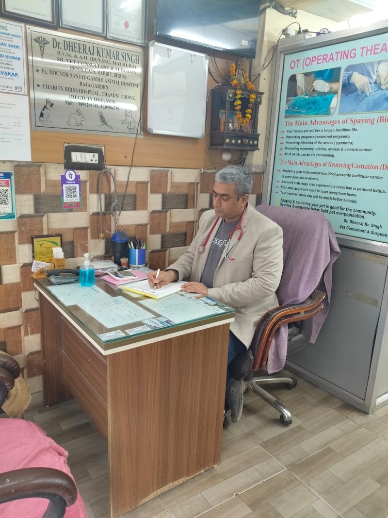 Dr Dheeraj Pets Clinic & Surgery Centre - Pet Clinic In Paschim Vihar - Pet Surgery In Paschim Vihar — Photo 4