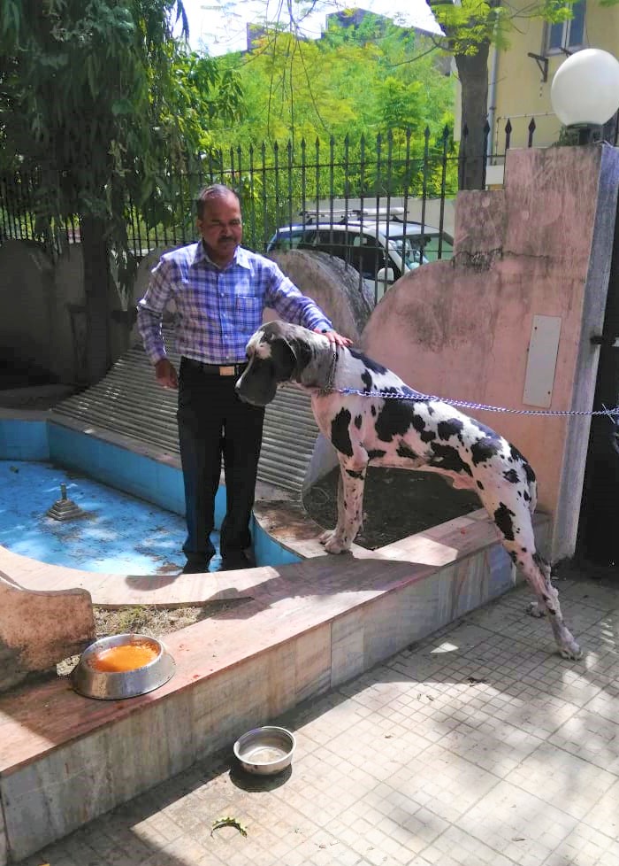 Dr. Dhote's Pet Care - Home Service — Photo 2