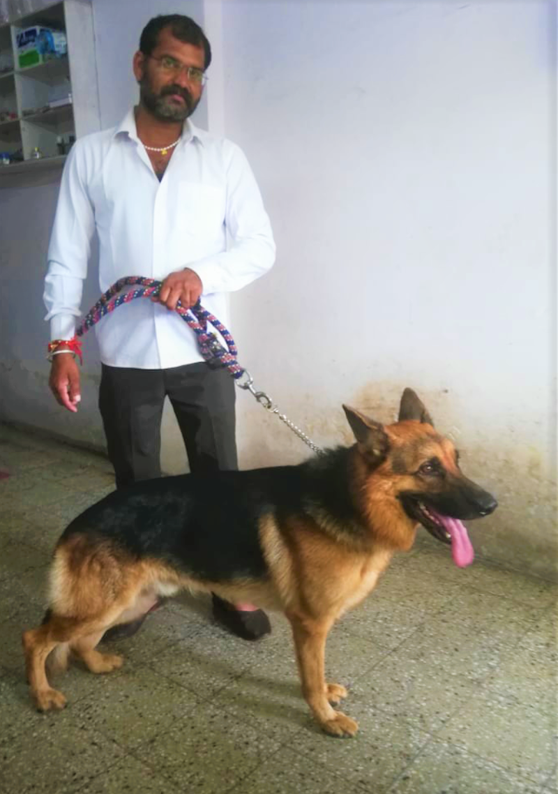 Dr. Dhote's Pet Care - Home Service — Photo 4