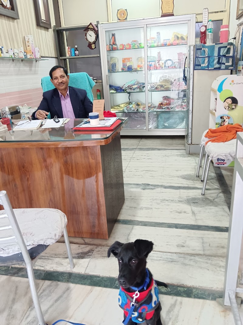 Dr. Doneriya's Dog Clinic — Photo 2
