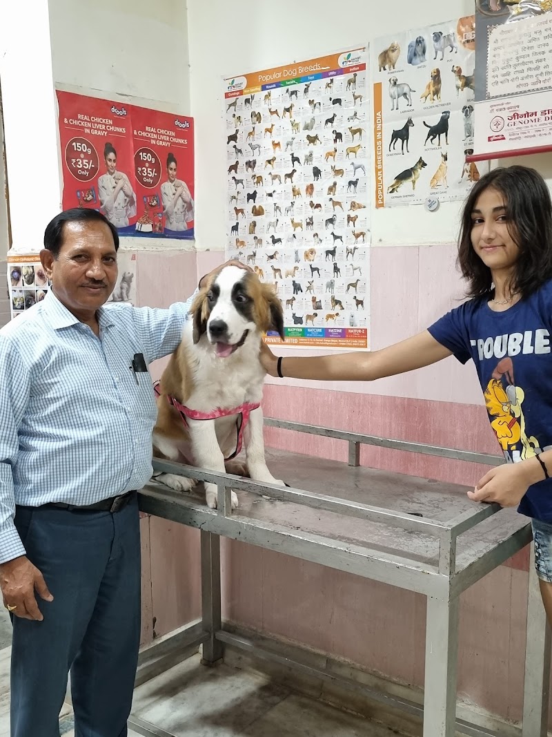 Dr. Doneriya's Dog Clinic — Photo 3