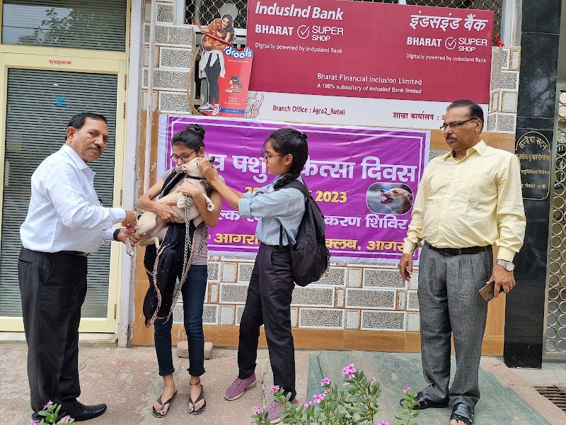 Dr. Doneriya's Dog Clinic — Photo 4