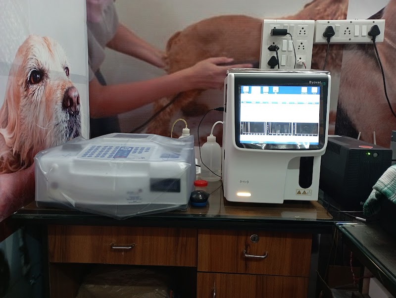 Dr. Gadara's pet clinic — Photo 2