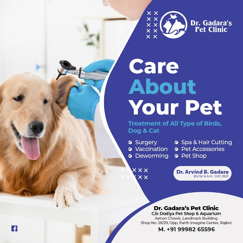 Dr. Gadara's pet clinic — Photo 3