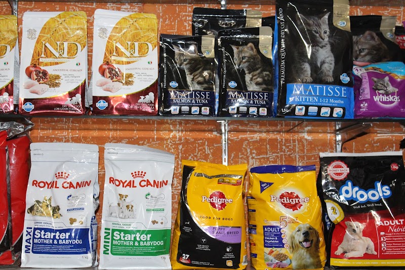 Dr. Gupta's Pet Speciality Clinic & Surgical Centre — Photo 3