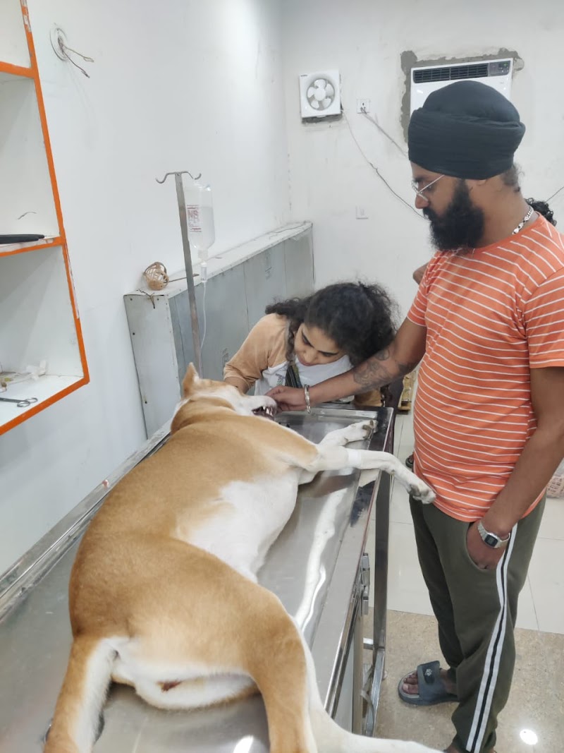 Dr Gyan Pet Clinic & Surgery Centre — Photo 3