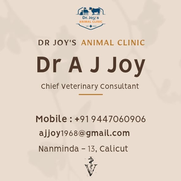 Dr. Joy's Animal Clinic