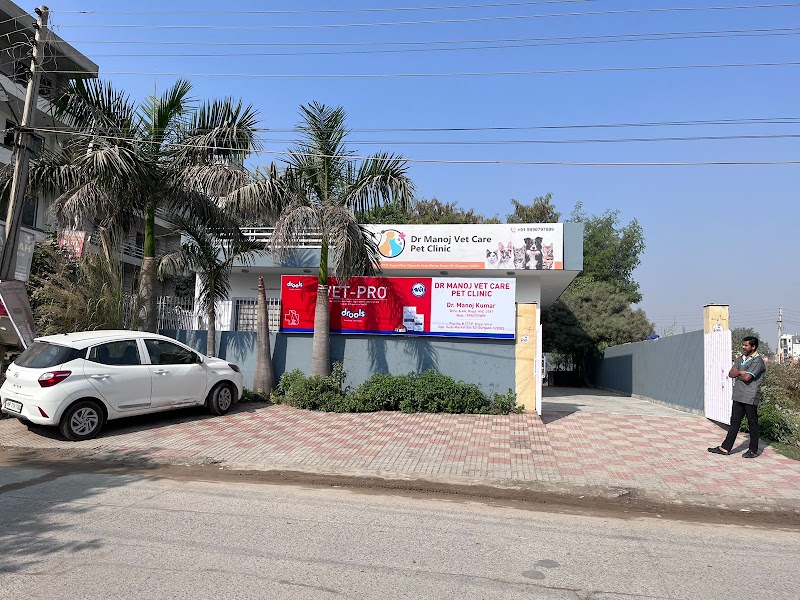 Dr Manoj Vet Care Pet Clinic — Photo 2