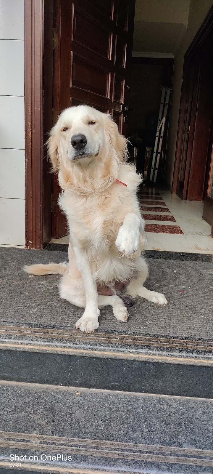 Dr Millon Rout (Veterinary Doctor) — Photo 2