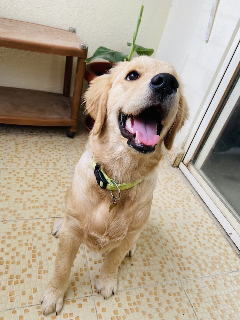 Dr Millon Rout (Veterinary Doctor) — Photo 3