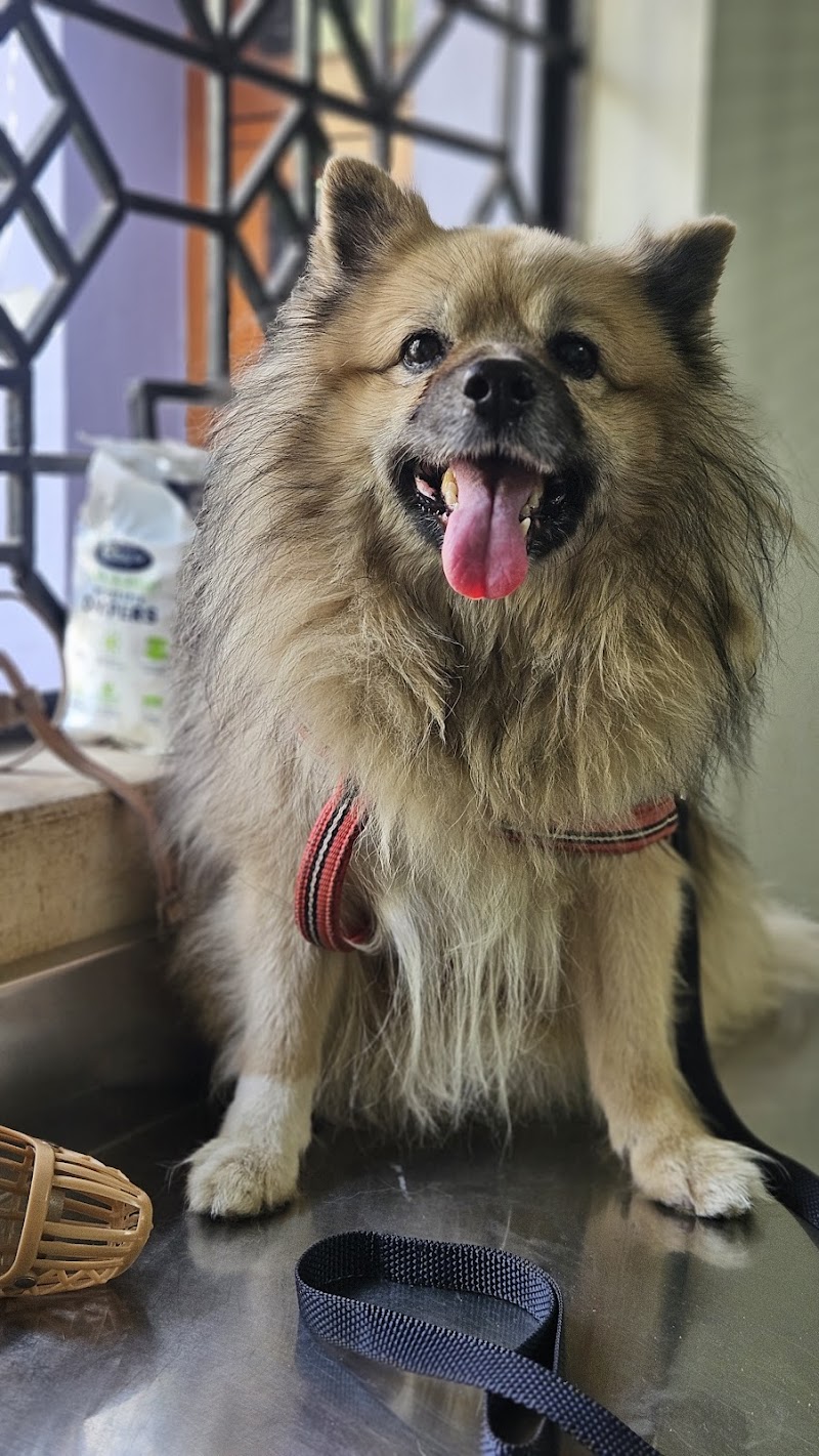 Dr Millon Rout (Veterinary Doctor) — Photo 4