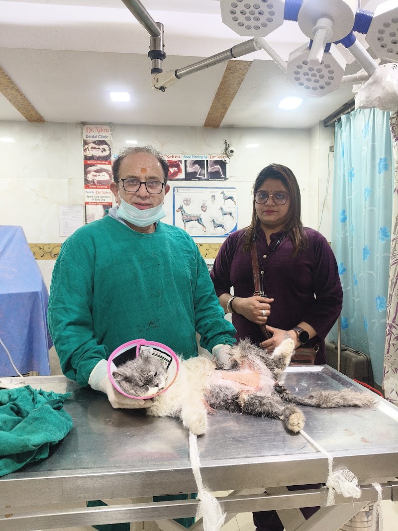 Dr. Nehru's Pet Hospital — Photo 2