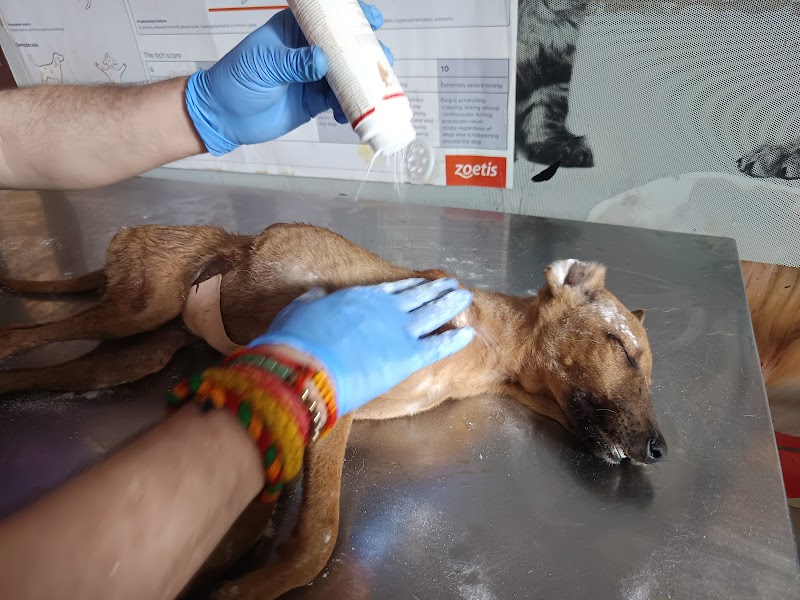 Dr. Nehru's Pet Hospital — Photo 3