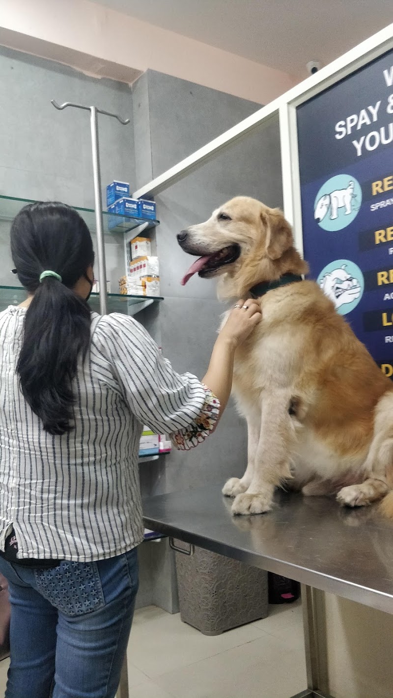 Dr. Patel Pet Clinic — Photo 3