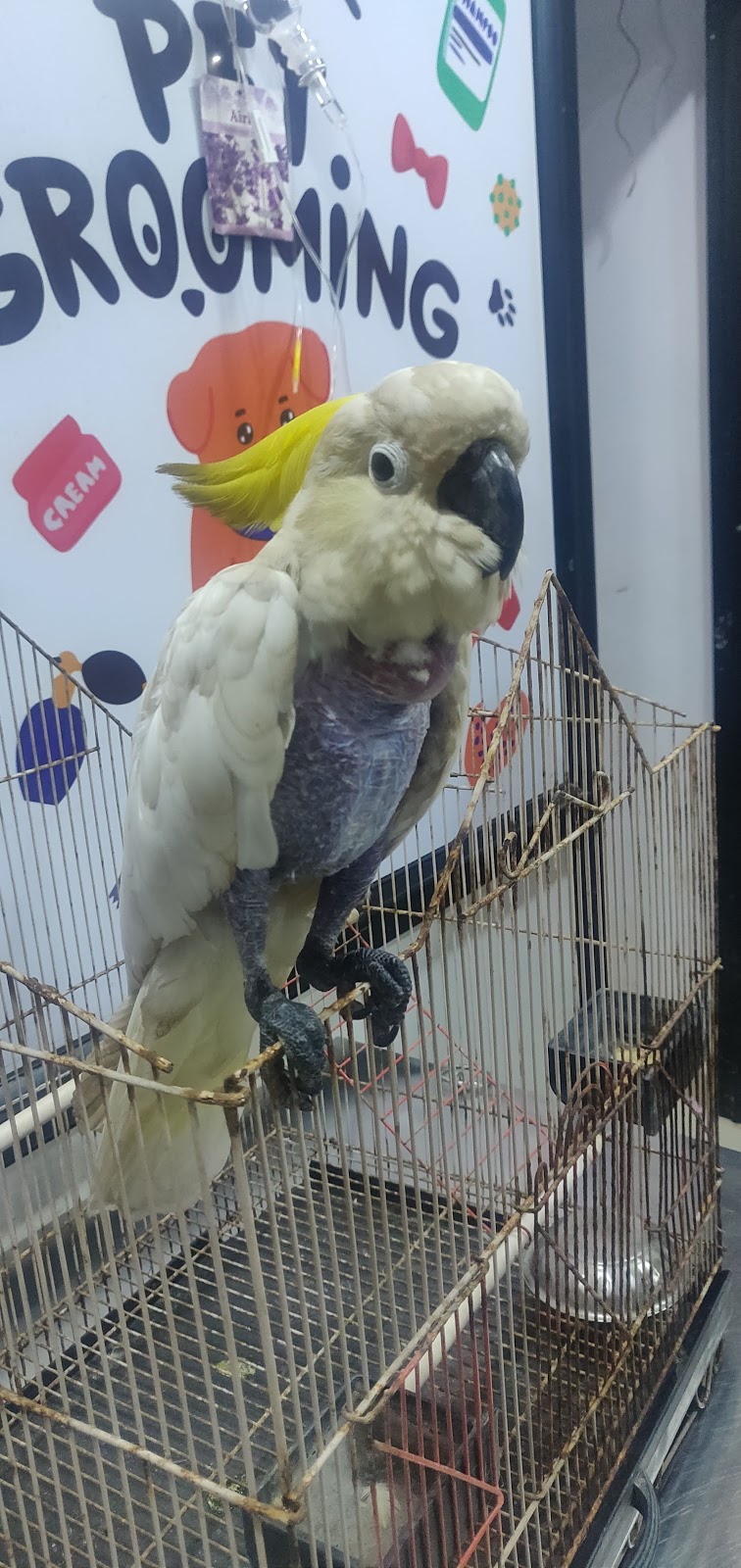 Dr paws pet clinic — Photo 3