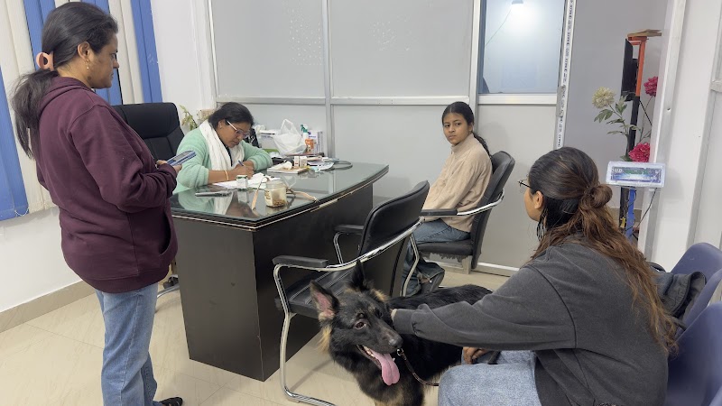 Dr Pet Life — Photo 2