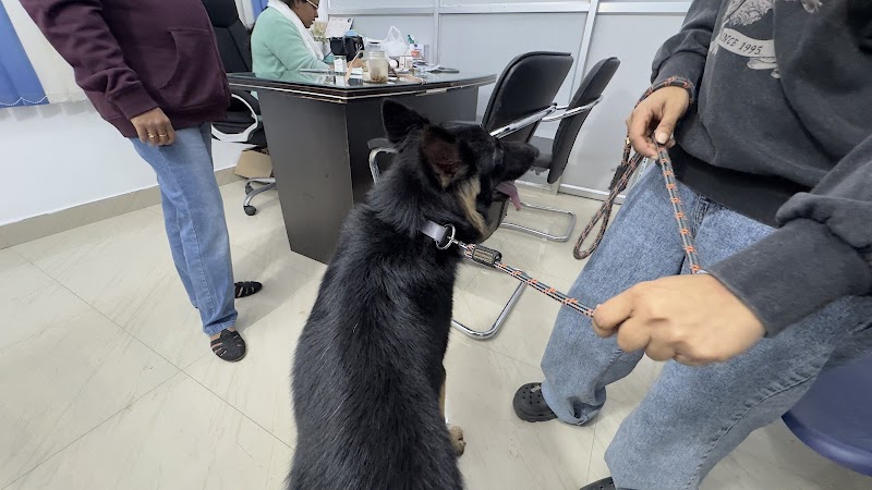 Dr Pet Life — Photo 3