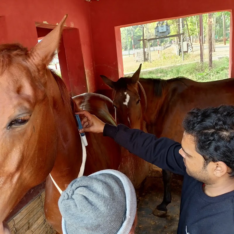 Dr Rakesh Kumar Srivastava